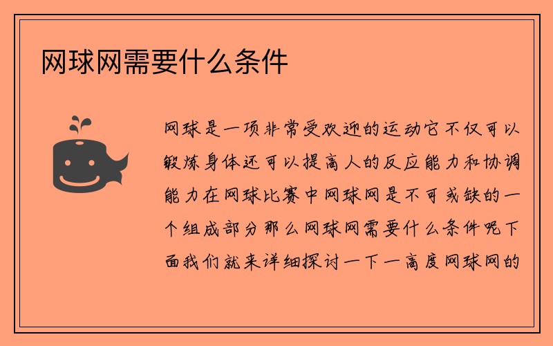 网球网需要什么条件