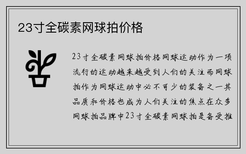 23寸全碳素网球拍价格